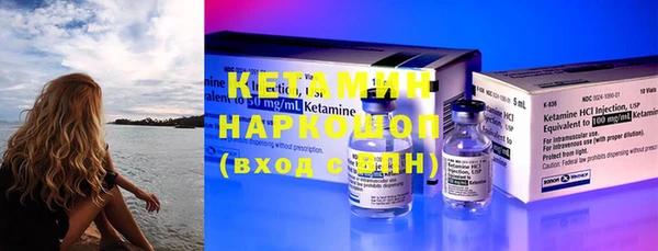 крисы Баксан