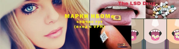 ешки Арсеньев