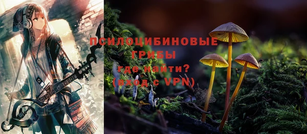ешки Арсеньев